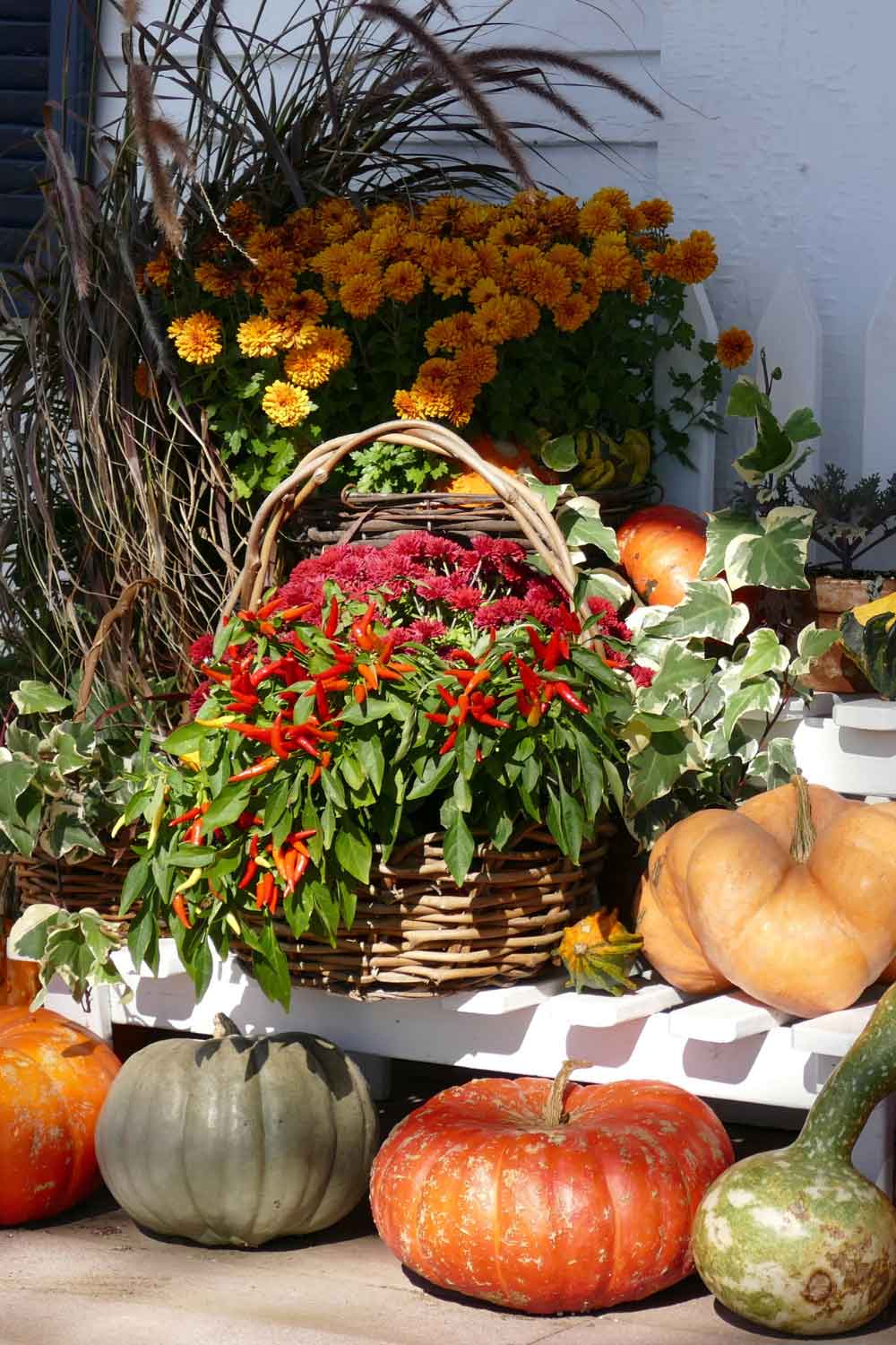 Spice up Your Fall Flower Display